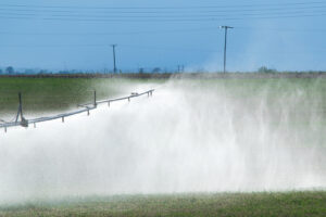 Gravity vs. Pressure Irrigation Which System Is Right for Your Project img