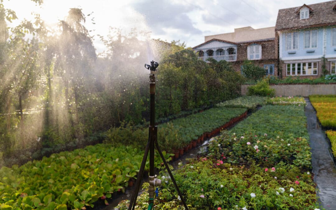 How to Incorporate Rainwater Harvesting into Your Irrigation System