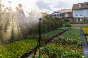 How to Incorporate Rainwater Harvesting into Your Irrigation System