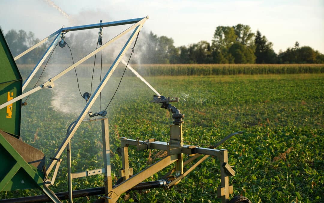 How to Plan and Budget for Your Irrigation Installation Project