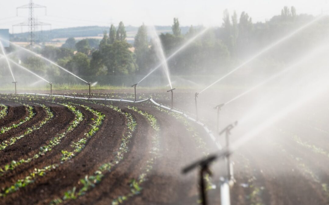 How to Reduce Water Waste with Smart Irrigation Solutions