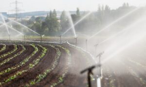How to Reduce Water Waste with Smart Irrigation Solutions