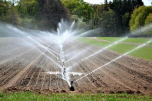 Seasonal Tips for Maintaining Your Irrigation System