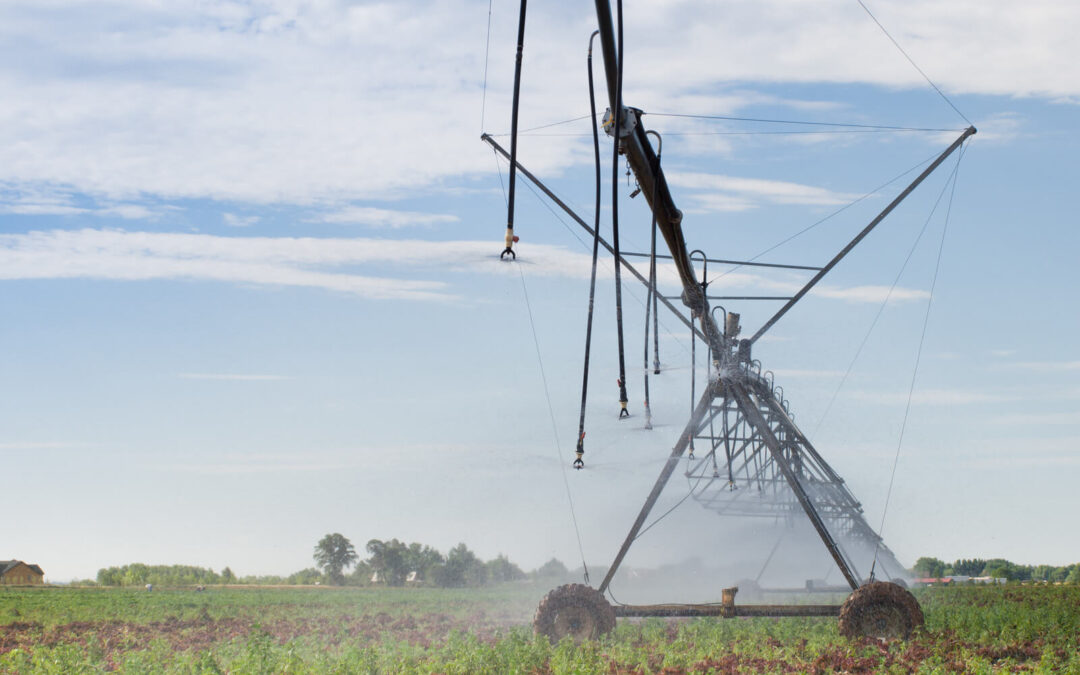 The Pros and Cons of Manual vs. Automated Irrigation Systems