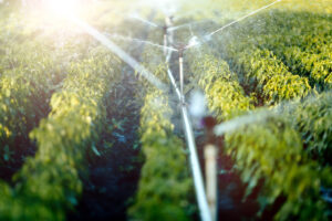 The Role of Soil Moisture Sensors in Modern Irrigation Systems