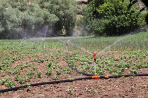 Top Tips for Choosing the Right Irrigation System for Your Development