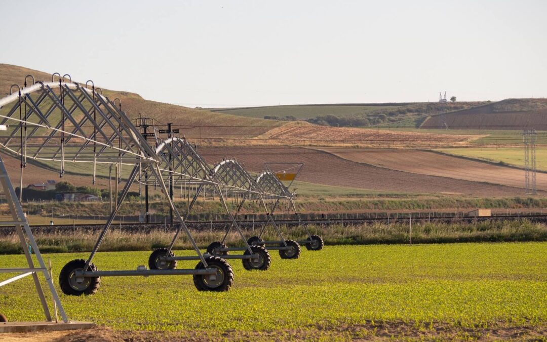 Why Regular Maintenance is Key to a Long-Lasting Irrigation System