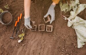 soil types for excavation